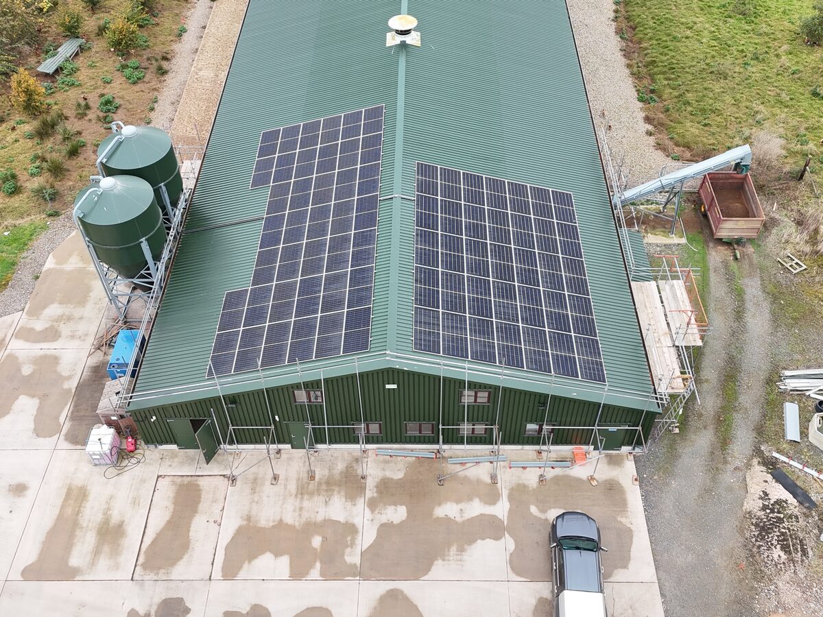 Belmont Farm: solar and storage for a business that never switches off